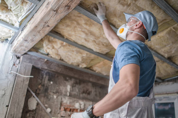Best Fiberglass Insulation in Three Oaks, FL