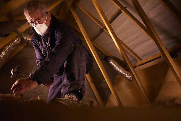 Best Geographic-Specific Insulation Services in Three Oaks, FL